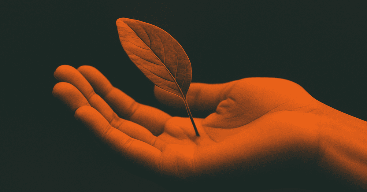 Conscious Consumerism: How Ethical Brands Win Loyalty